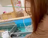 【素人＠ハメ撮り企画】巨乳のセフレがえちえちSEX！パイコキベロチュー！痴女り授乳手コキ！ 