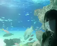 【素人企画＠ハメ撮り】巨乳クビレの美少女JKがイチャラブのエロ合体！デート！制服着衣セックス！ 