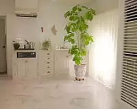 【葵ななせ】都内の大学に通う清楚系の19歳巨乳美少女が衝撃のAVデビュー！ 