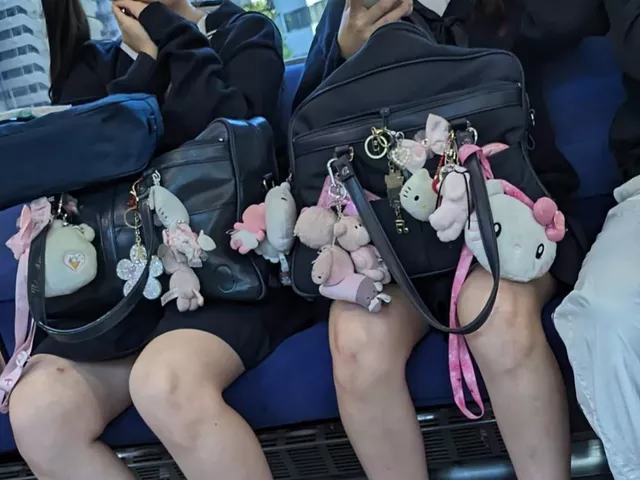 【画像】電車で制服ＪＫが目の前に来たこんな状況、お前らどうするよ？ｗｗ