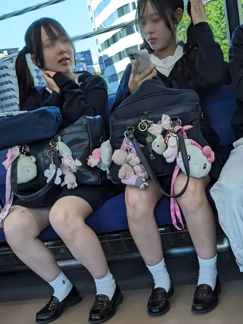 【画像】電車で制服ＪＫが目の前に来たこんな状況、お前らどうするよ？ｗｗ