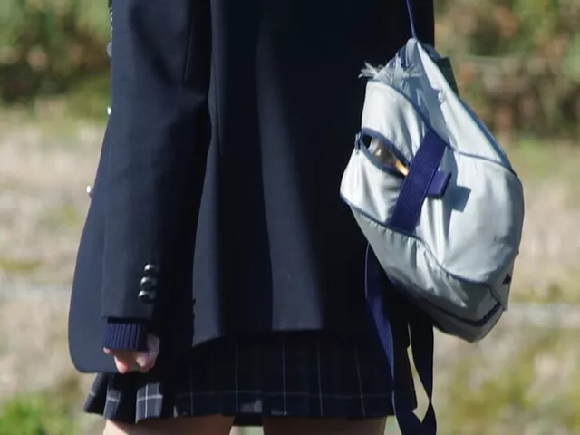 【画像】結構良いカメラじゃないとこんなキレイに制服ＪＫちゃん撮れないよね？