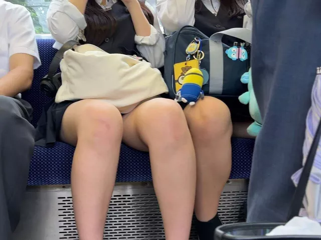 【画像】対面か正面で悩む電車内でちょこんと座る制服ＪＫちゃん