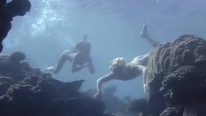 1980年の映画「青い珊瑚礁」のブルック・シールズがエロ過ぎるｗｗｗ