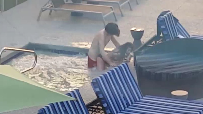 プールでセックスしているカップルがおばちゃんに怒られるｗｗｗ