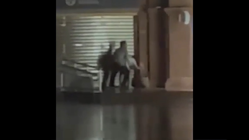 台湾の街角でパコパコとセックスしているカップルを発見した！！