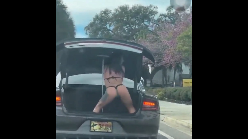 後ろの車がクラクションを鳴らすと前の車のトランクからビキニの女が出てきたｗｗｗ