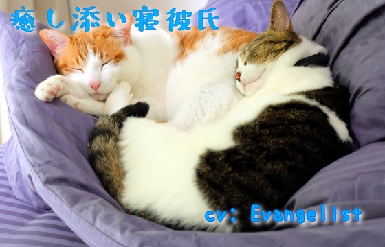 VR■添い寝癒し彼氏