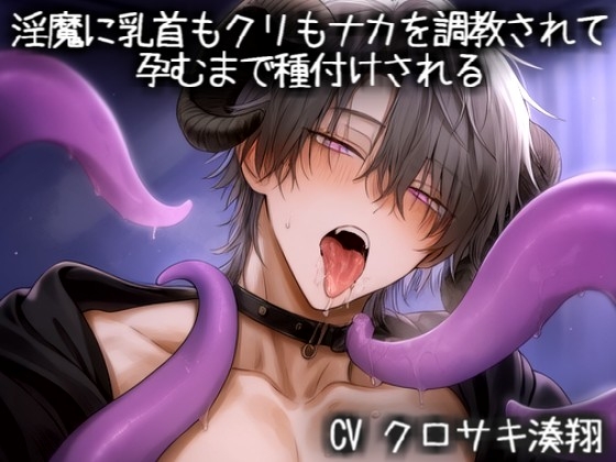 淫魔に乳首もクリもナカを調教されて 孕むまで種付けされる