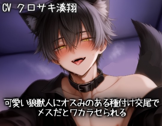 可愛い狼獣人にオスみのある種付け交尾でメスだとワカラセられる