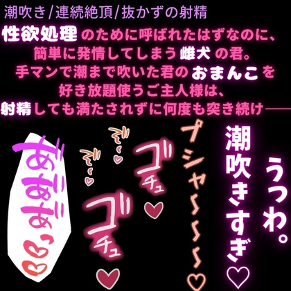 【潮吹き/連続絶頂/抜かずの射精】雌犬まんこで性欲処理♡〜潮吹きしても突くのを止めないご主人様♡〜