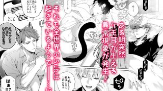 【新着同人誌】しとあめわんにゃん-全世界のSubに突然ケモ耳が生える異常現象パラレル本-
