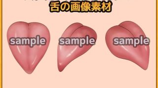 【新着同人ゲーム】舌（した）の画像素材〜商用OK著作権フリー