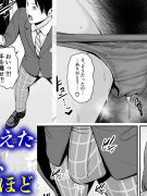 【新着同人誌】義母を、電車で…