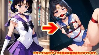 【新着同人誌】【アップデート版】セー●ー戦士にお仕置きよ2-SM編- 【着衣ver】