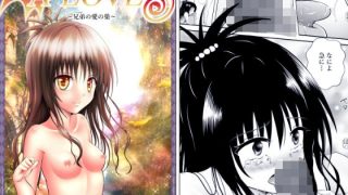 【新着同人誌】あらぶる〜兄妹の愛の巣〜