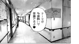 【新着同人誌】ほすぴたるふぁーむ2