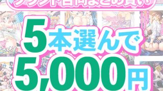 【新着エロゲー】【まとめ買い】1，600作品以上から5本選んで5，000円！感謝祭オータム…