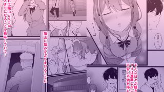 【新着同人誌】ヒミツのネトラセごっこ