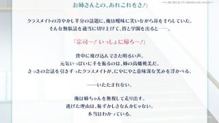 【新着同人ゲーム】巨乳な姉は好きですか？〜ベ、別に気になっているわけじゃないからね！〜