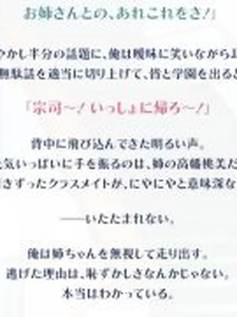 【新着同人ゲーム】巨乳な姉は好きですか？〜ベ、別に気になっているわけじゃないからね！〜