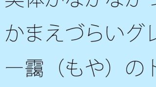 【新着同人誌】実体がなかなかつかまえづらいグレー靄（もや）のトンネルの中を  細微が問題…
