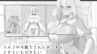 【新着同人ゲーム】エルフの女騎士さんにおさわりさせていただきたい