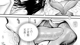 【新着同人誌】あらぶる〜兄妹の学び舎エッチ〜