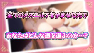 【新着同人ゲーム】NEW ILLUST ！ メスしかいないエルフの村に迷い込んだら全員孕ませ…