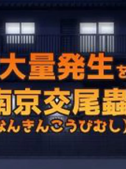 【新着同人ゲーム】【Android版】NTR蟲姦〜セックスレスな人妻が夜にオナニーしてたら蟲…
