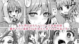 【新着同人誌】大人用のおもちゃ総集編
