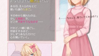 【新着同人ゲーム】たまご娘と一緒！〜透花の育成日記〜