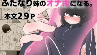 【新着同人誌】引きこもりお姉ちゃん、ふたなり妹のオナホになる。