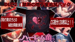 【新着同人ゲーム】ハーレム（はーと）マンション  DLC2:禁断の地下室追加パック
