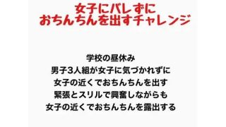 【新着同人誌】女子にバレずにおちんちんを出すチャレンジ