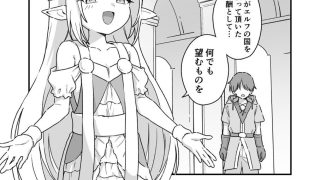 【新着同人誌】エルフの王女様