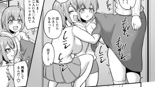 【新着同人誌】おねえちゃんにち〇ちんが生えちゃった！！
