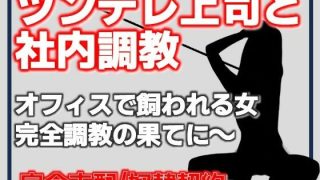 【新着同人誌】ツンデレ課長、年下社員に惚れて奴●なる