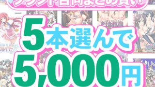 【新着エロゲー】【まとめ買い】1，600作品以上から5本選んで5，000円！夏のブランド合…