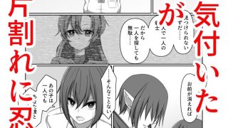 【新着同人誌】ひとしずくの浸蝕  ニコイチの変身ヒロインが悪の怪人に至るまで