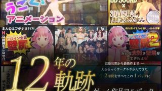 【新着同人ゲーム】【12年の軌跡】えるるっくサークル｜ゲーム作品フルパック