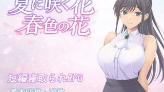 【新着同人ゲーム】夏に咲く花 春色の花