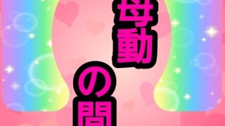 【新着同人誌】母動の間