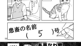 【新着同人誌】ねこのあれこれ