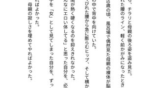 【新着同人誌】タイムリープ淫母 〜背徳の母子相姦、永遠に〜