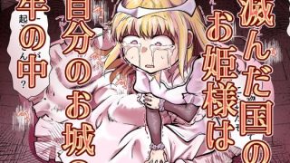 【新着同人誌】滅んだ国のお姫様は自分のお城の牢の中