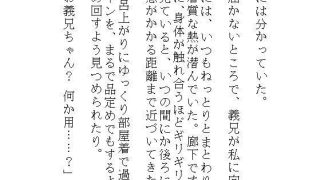 【新着同人誌】私がイキやすい身体になったのは、実家での義兄の連続絶頂調教がキツすぎたから…