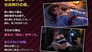 【新着同人ゲーム】結婚半年前の貞淑OLを、触れて囁いて7日間で堕とすNTR