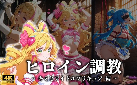 専売新作 ヒロイン調教 ・ キミとアイドルプリキュア 編  CIEL