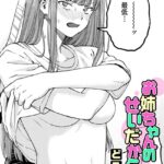 お姉ちゃんのせいだから